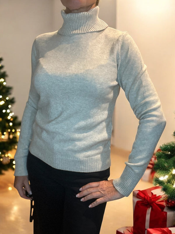 Pull col roulé Kevin
